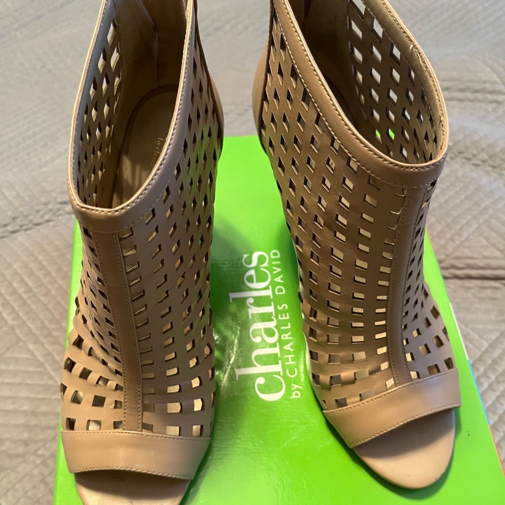 Charles David angle heels